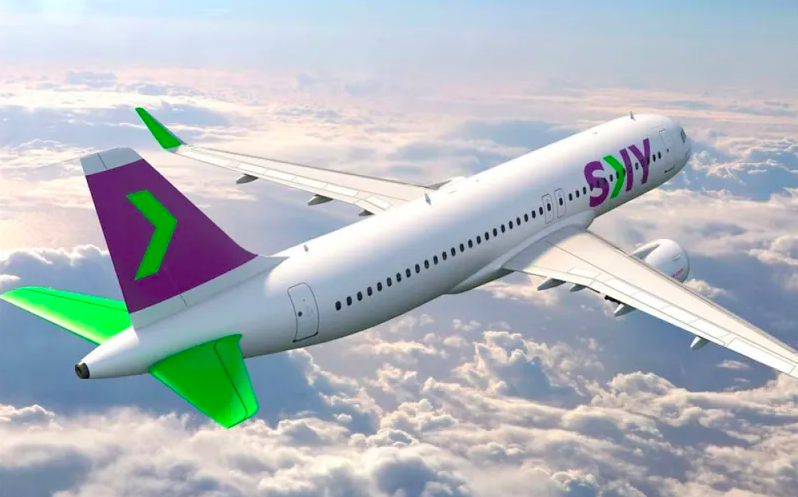 Avión Sky